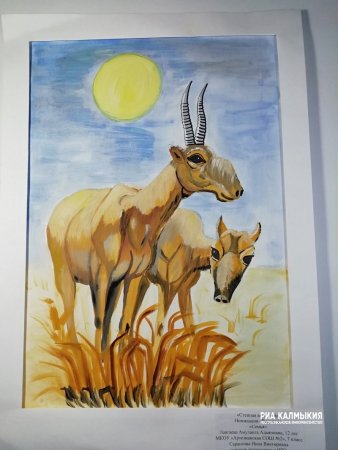 Сайгак рисунок