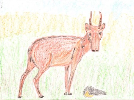 Картина Сарьяна сайгаки