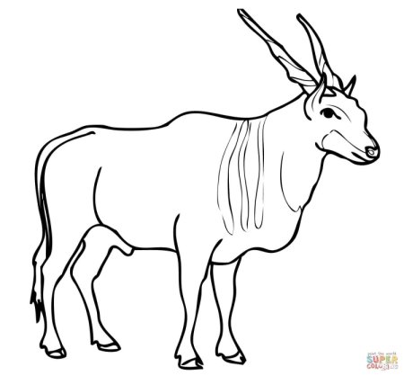 Антилопа раскраска для детей