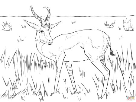 Степь раскраска для детей