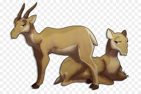 Сайгачонок рисунок