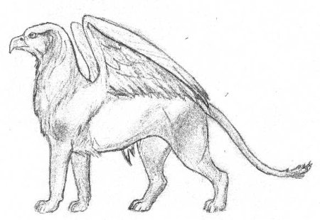 Фантастические животные простым карандашом