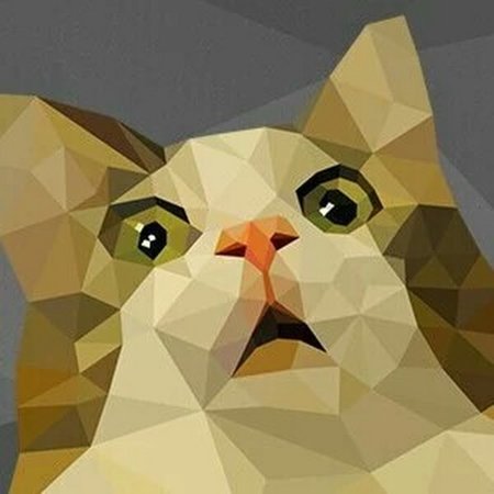 Полигональный кот