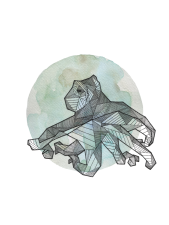 Стилизация животных геометрия