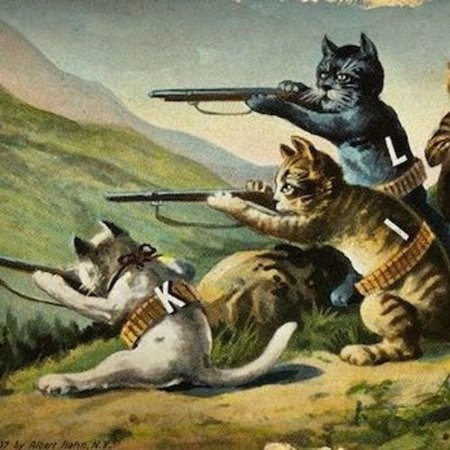 Боевой кот