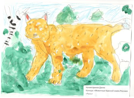 Олень рисунок