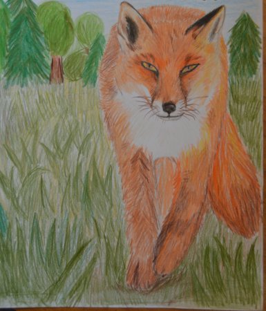 Детский рисунок Рыся и красной книги