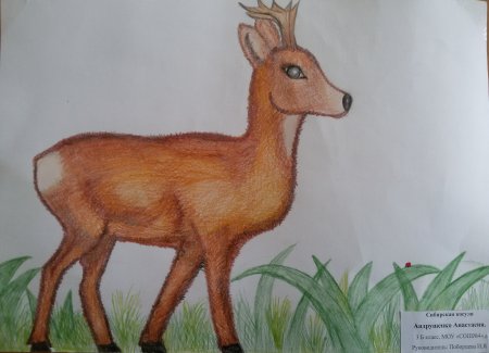 Рисование Белочка