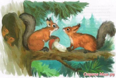 Медведь рисунок фломастерами