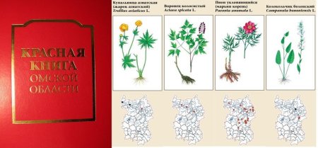 Lucy Newton акварель