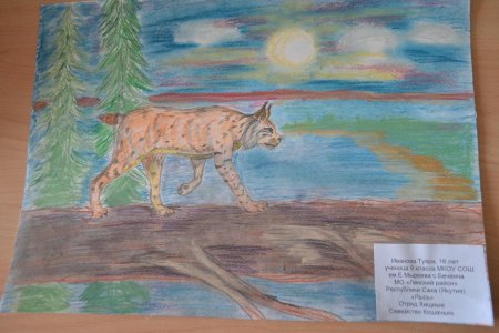 Рисунки животных занесенных в красную книгу