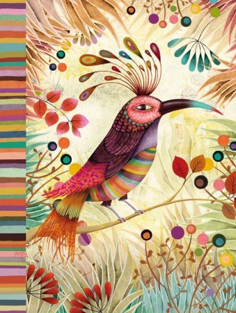 Декоративные птицы