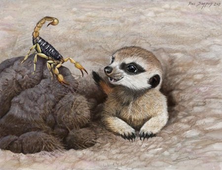 Сурикат ест скорпиона