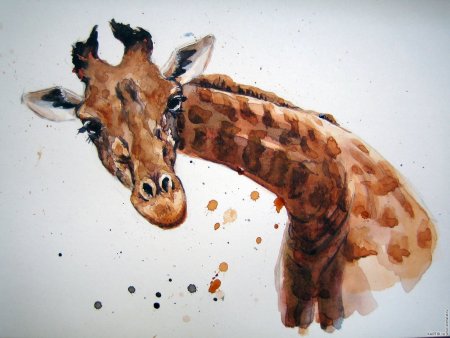 Животные акварелью