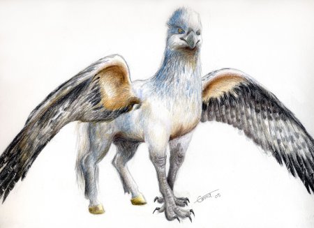 Рисунки зверюшки Карандашные