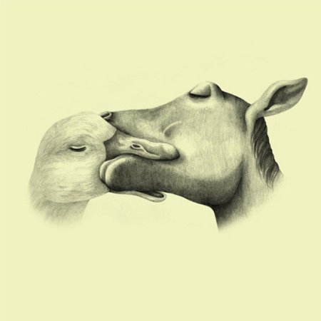 Рисунки животных из семейства кошачьих
