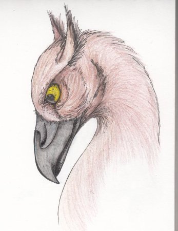 Рисование необычных животных