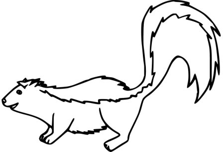 Скунс раскраска