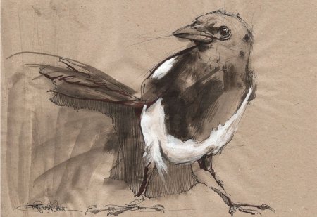 Этюд чучела птицы гризайль