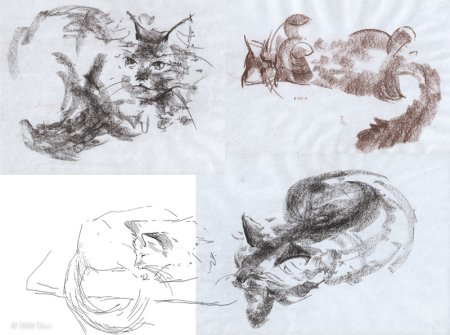 Наброски животных мягким материалом