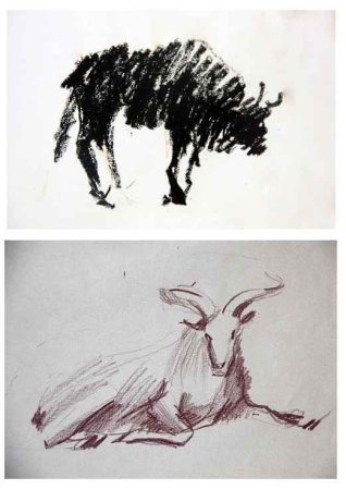 Животные с пятнами