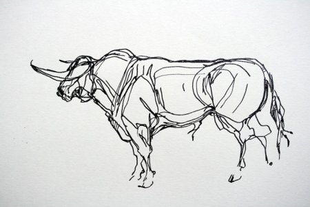 Линейный рисунок карандашом животные