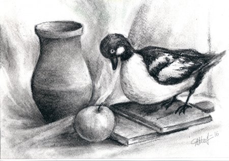 Натюрморт с птицей карандашом