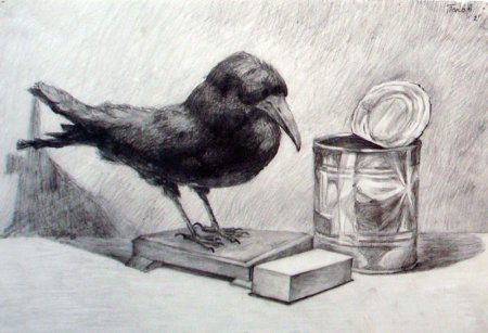 Чучело птицы для рисования