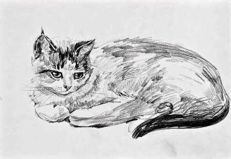 Наброски кошек