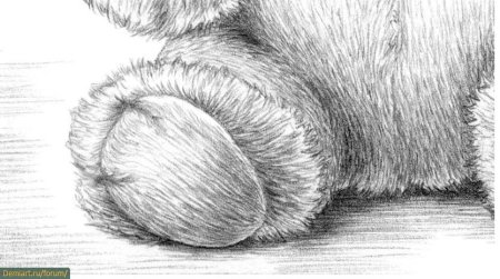 Шерсть карандашом