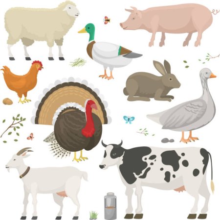 Фермерские животные Рисованные