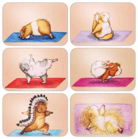 Морская Свинка йога