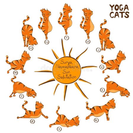 Йога животные нарисованные