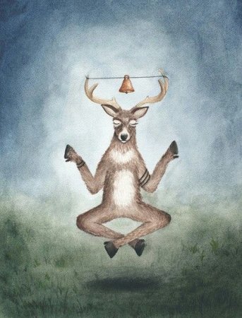 Лиса медитация