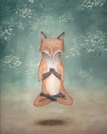 Лиса медитирует