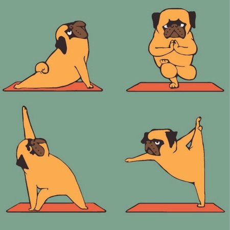 Мопс йога
