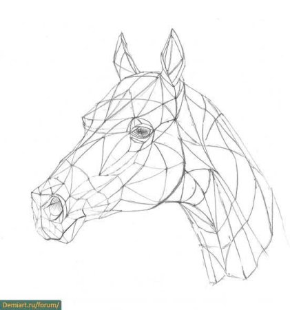 Конь из линий