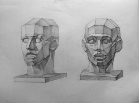 Пропорции головы лошади спереди