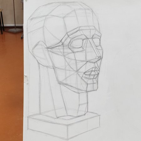 Анатомия головы лошади для художников