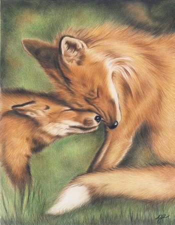 Влюбленные лисички