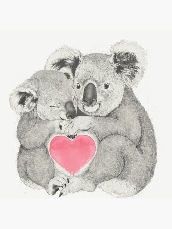 Мишки коалы обнимаются
