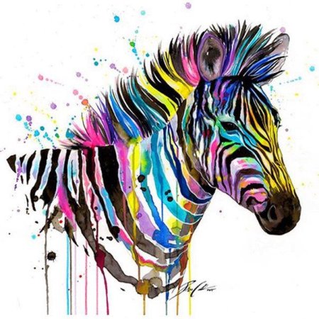 Радужные зебры