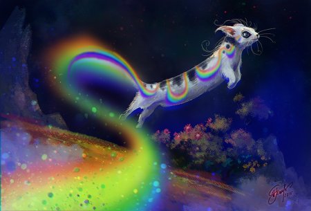 Животные на радуге