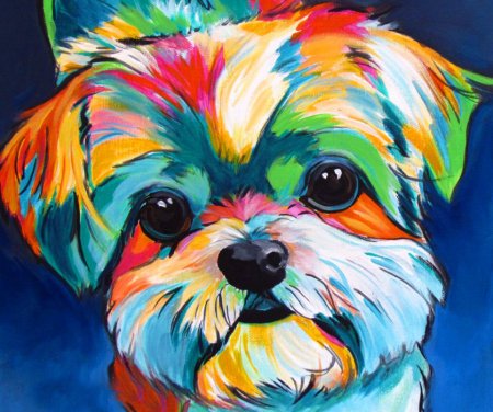 Собака яркая разноцветная