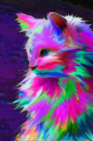 Радужная кошка