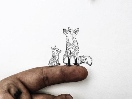 Животные в движении карандашом