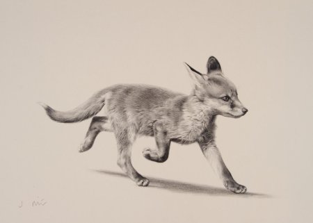 Вышивка гладью Хлоя Джордано