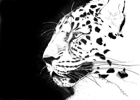 Рисунок белым на черном