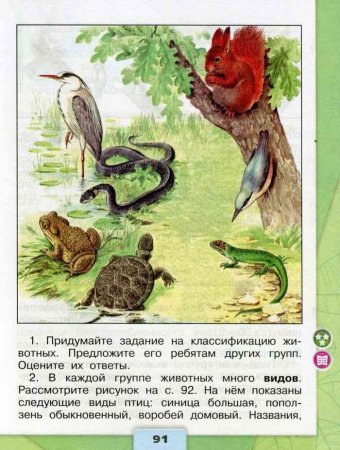 Разнообразие животных задания