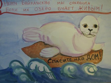 Плакат в защиту тюленей